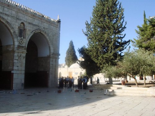 ishtebakat322 (38).jpg - 45.27 kB 